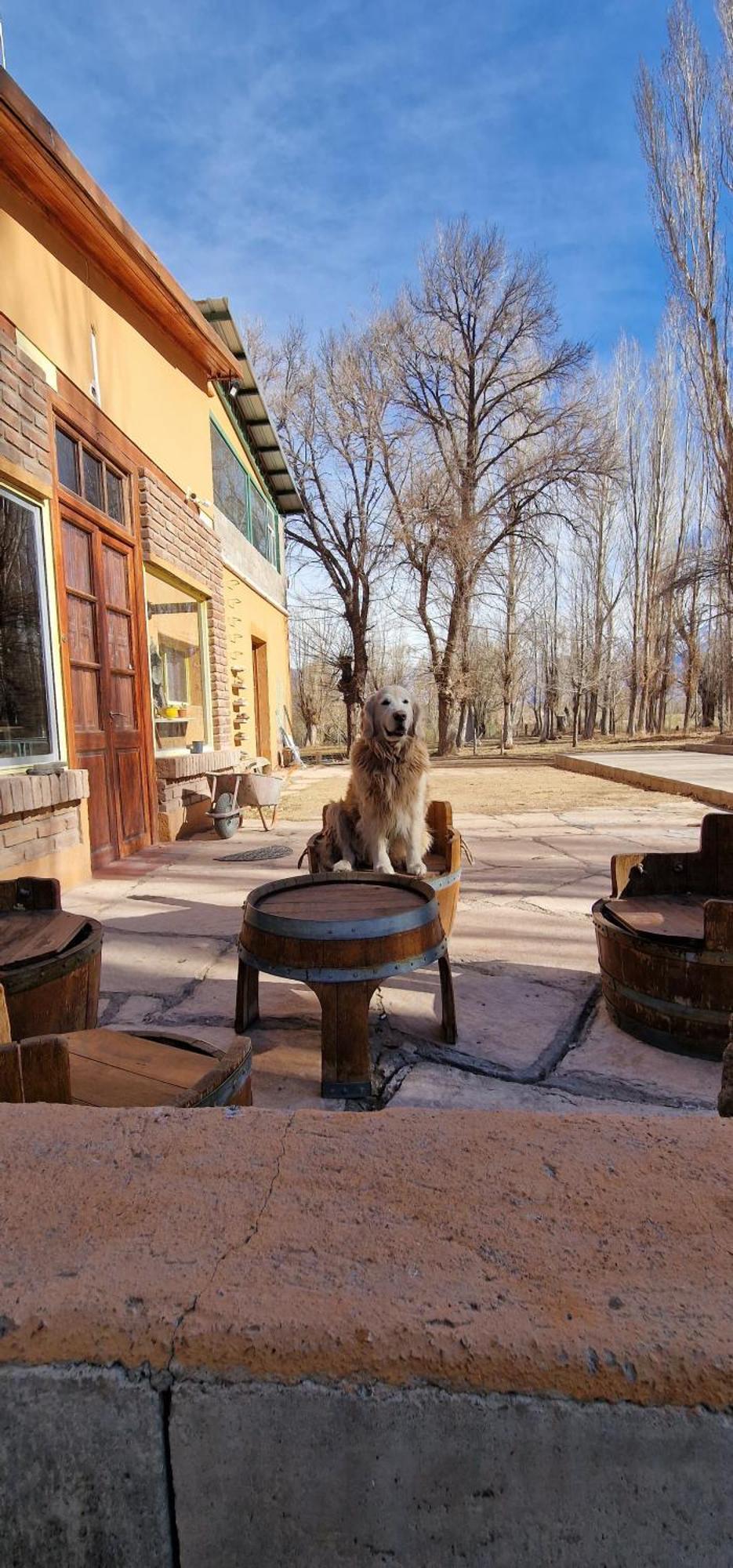 Hosteria Uspallata Buitenkant foto